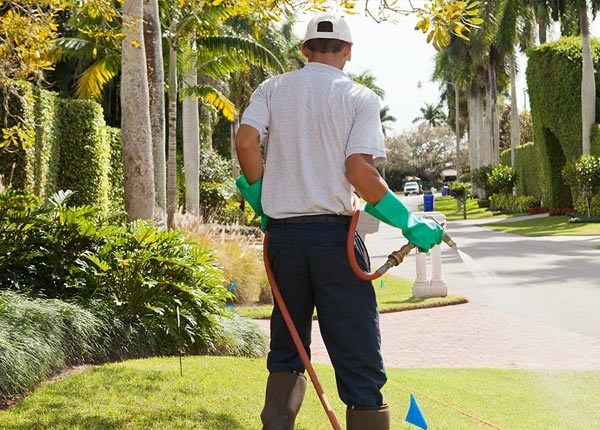 About Edgar Springs MO Pest Control